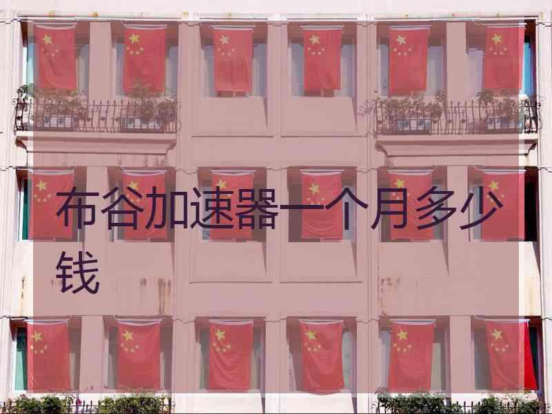 布谷加速器一个月多少钱