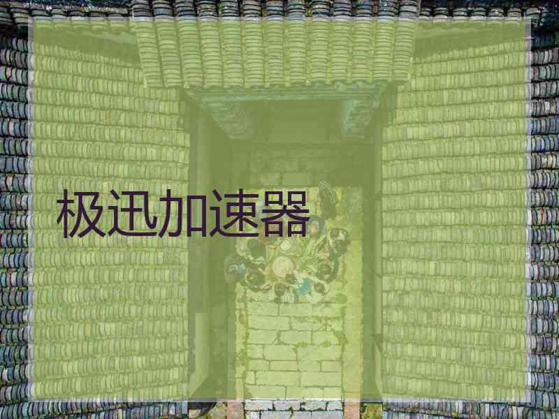 极迅加速器