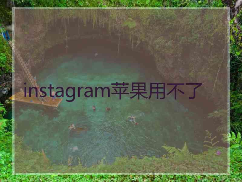 instagram苹果用不了