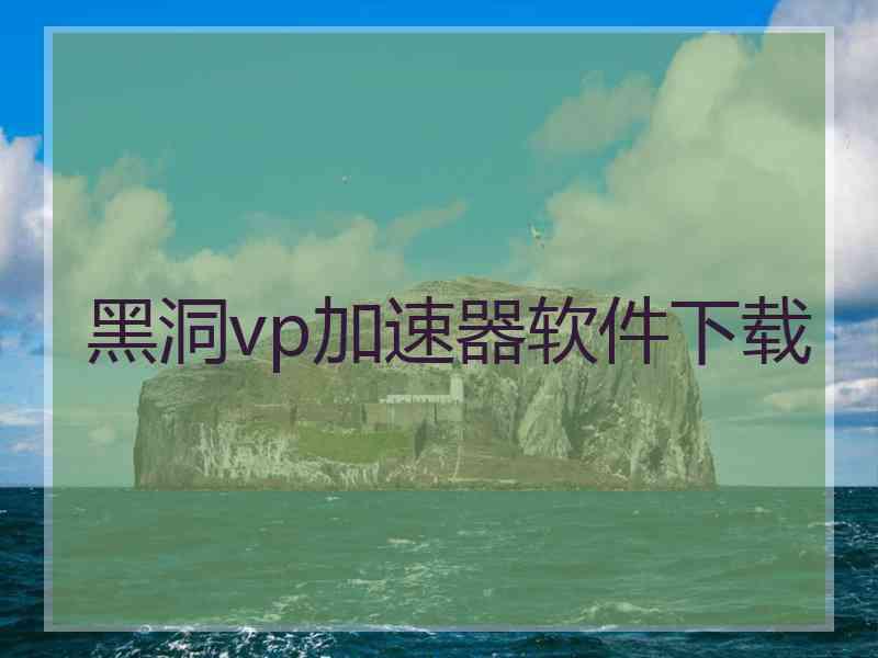 黑洞vp加速器软件下载