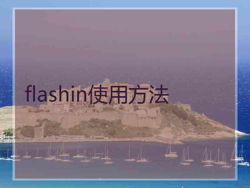 flashin使用方法