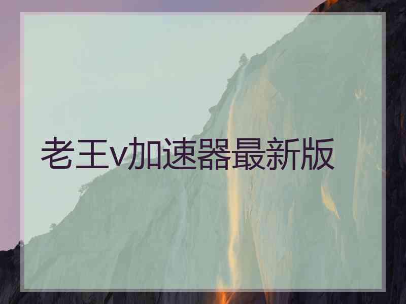 老王v加速器最新版