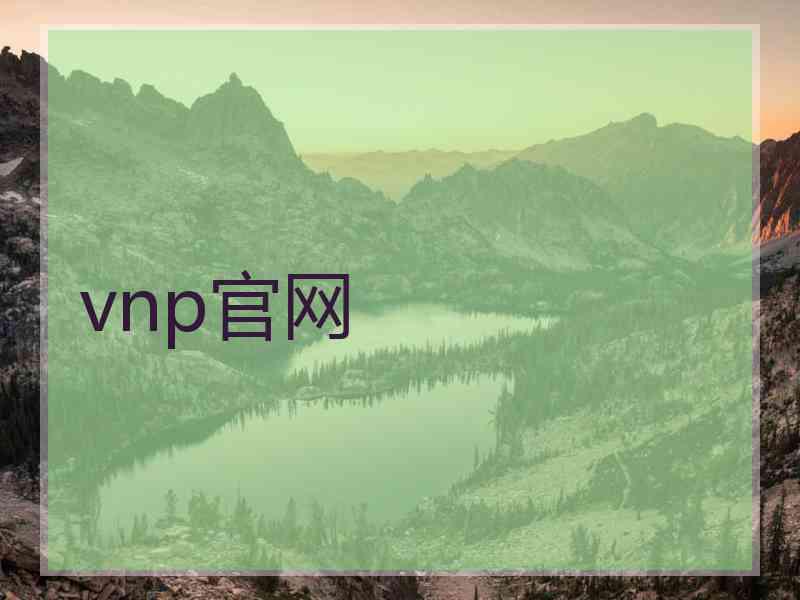 vnp官网