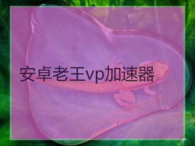 安卓老王vp加速器