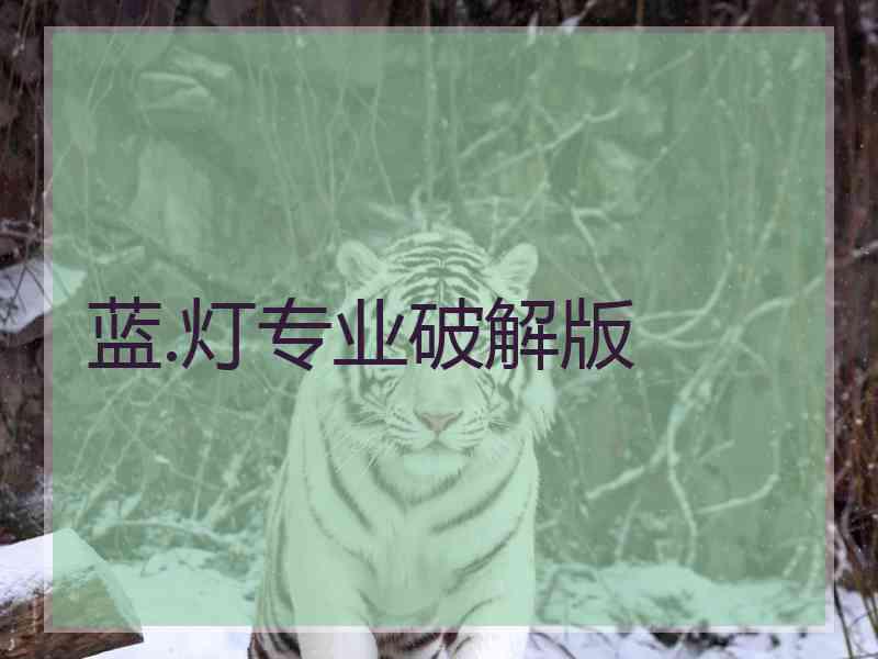 蓝.灯专业破解版