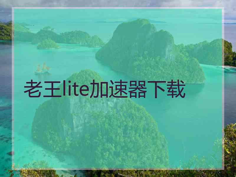 老王lite加速器下载