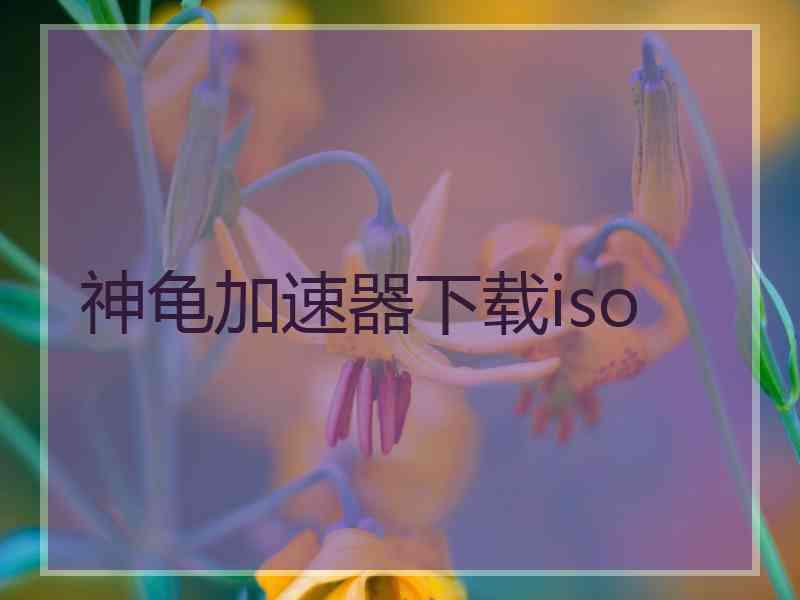 神龟加速器下载iso