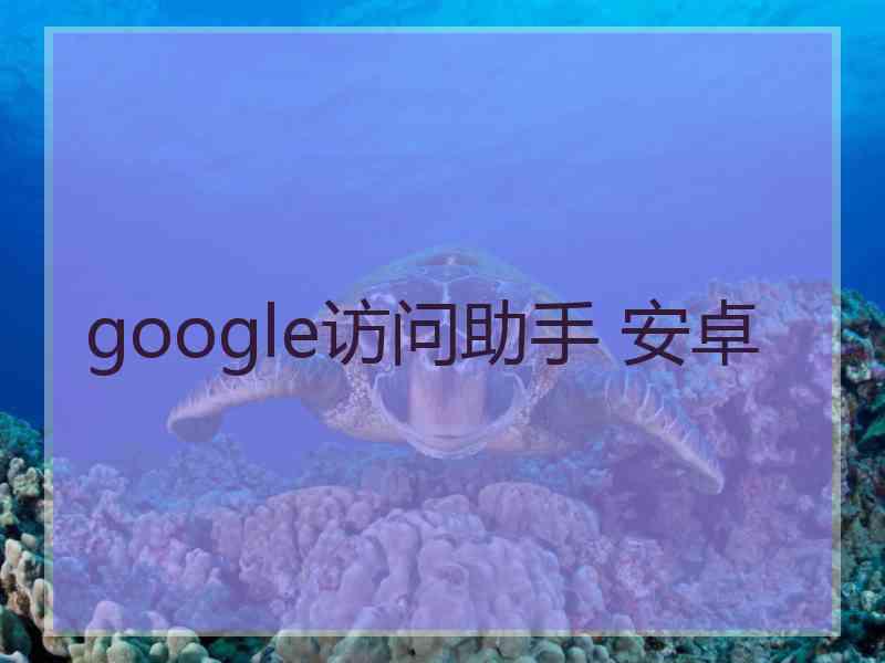 google访问助手 安卓