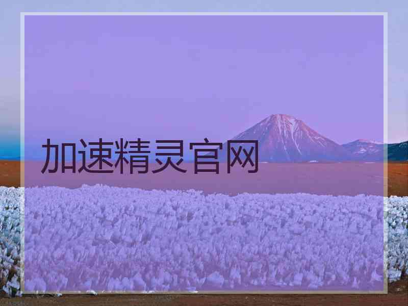 加速精灵官网