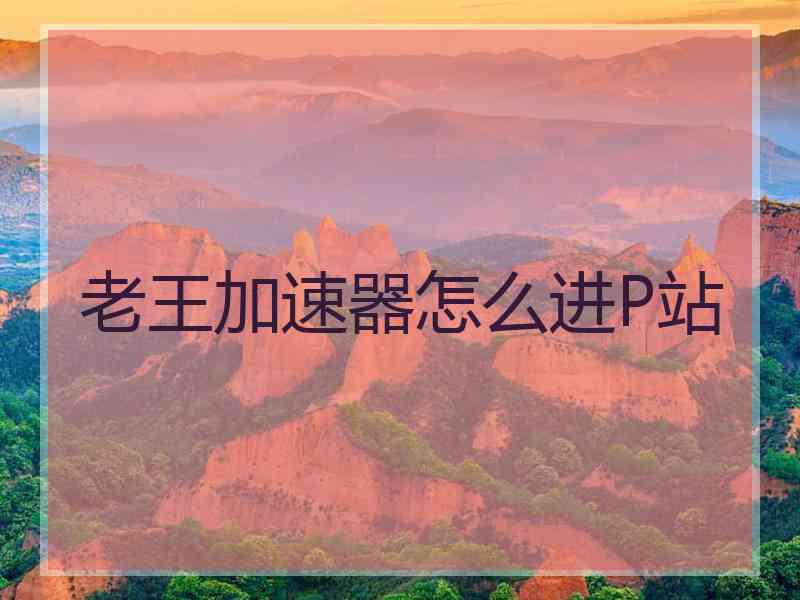 老王加速器怎么进P站