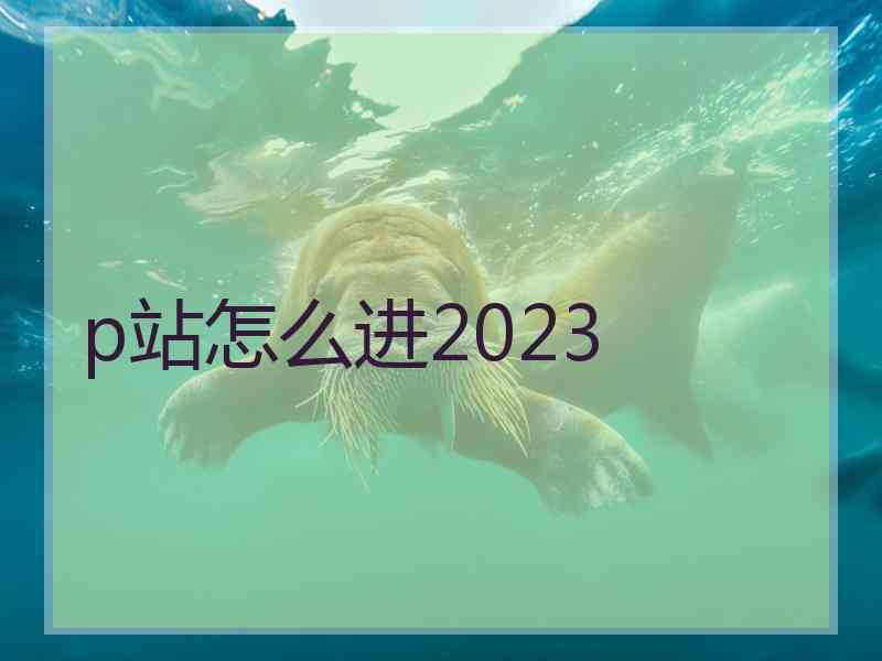 p站怎么进2023