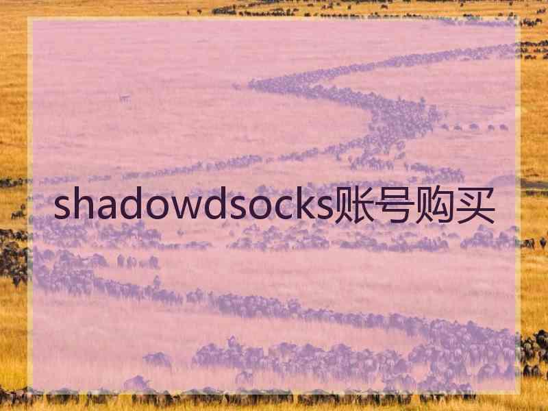 shadowdsocks账号购买