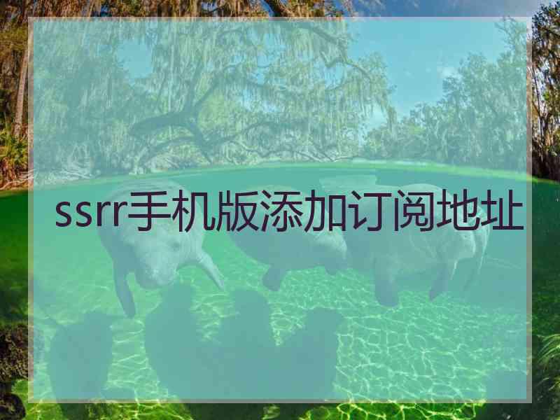 ssrr手机版添加订阅地址