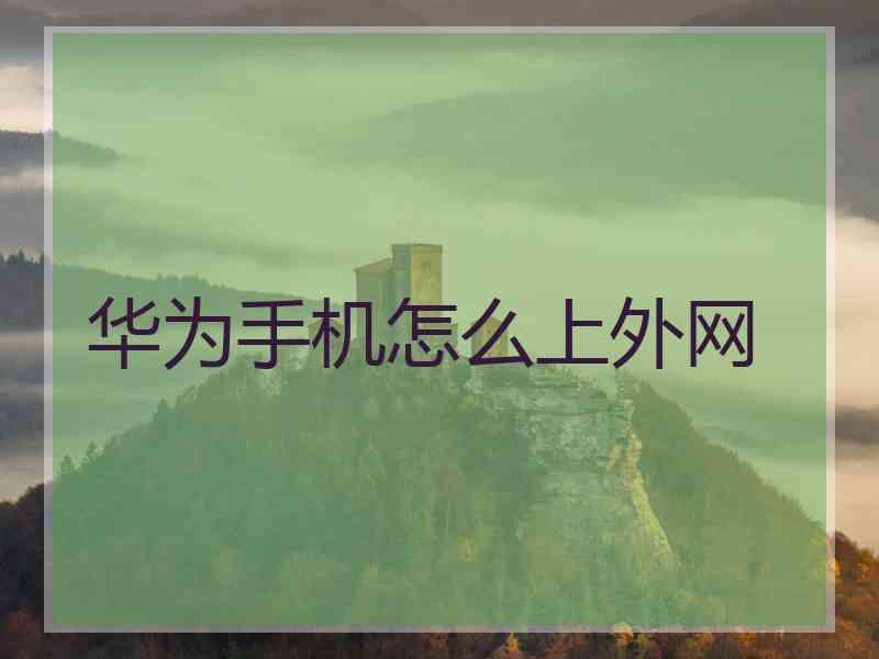 华为手机怎么上外网
