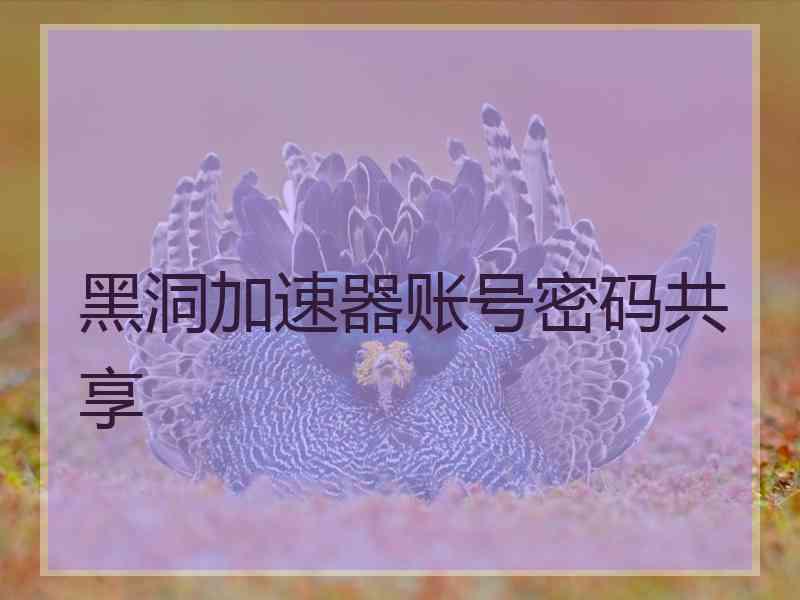 黑洞加速器账号密码共享