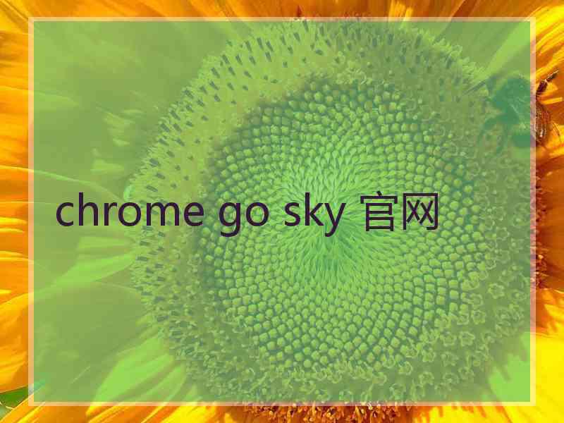 chrome go sky 官网