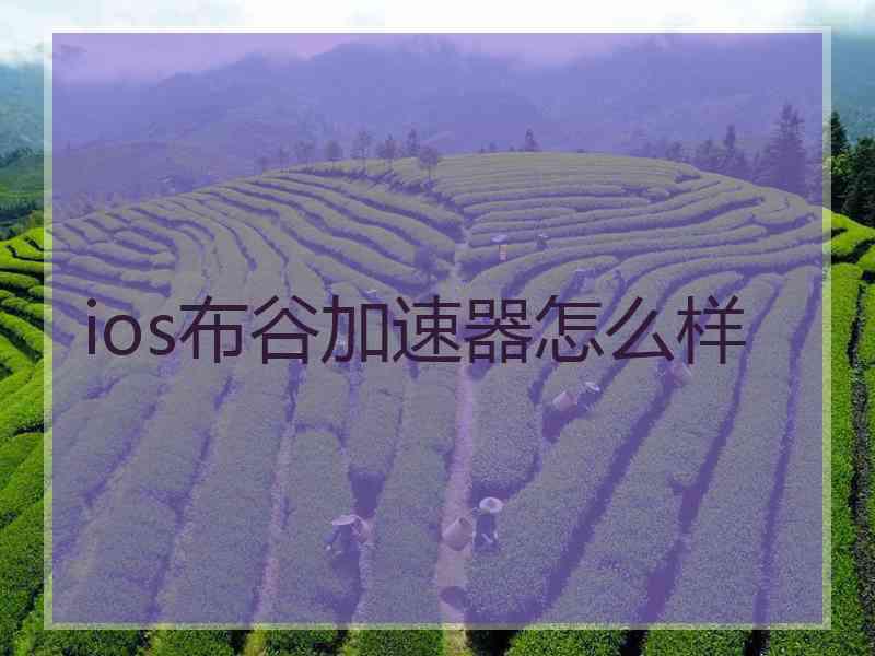 ios布谷加速器怎么样