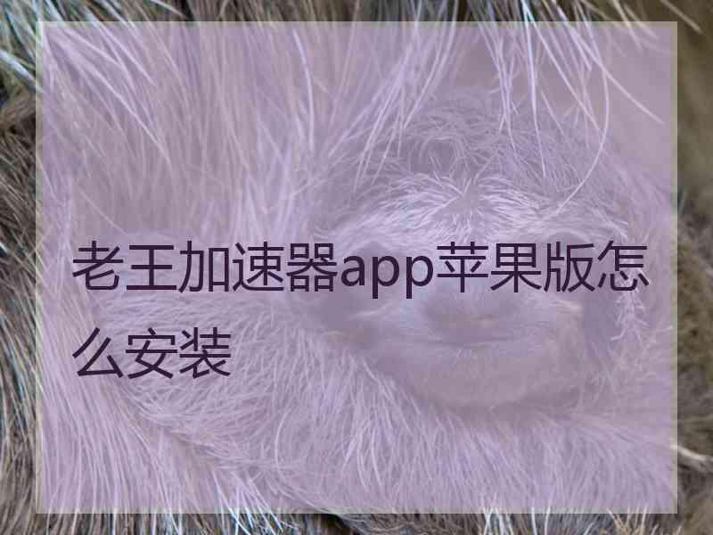 老王加速器app苹果版怎么安装