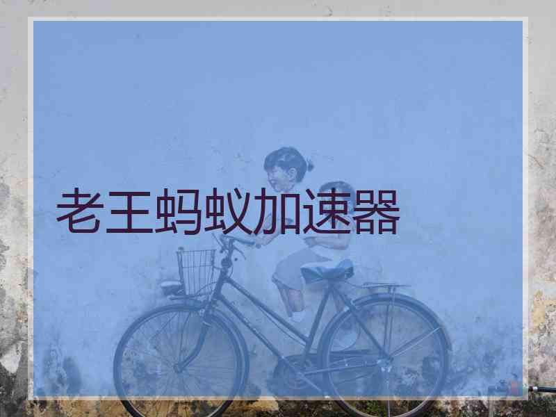 老王蚂蚁加速器