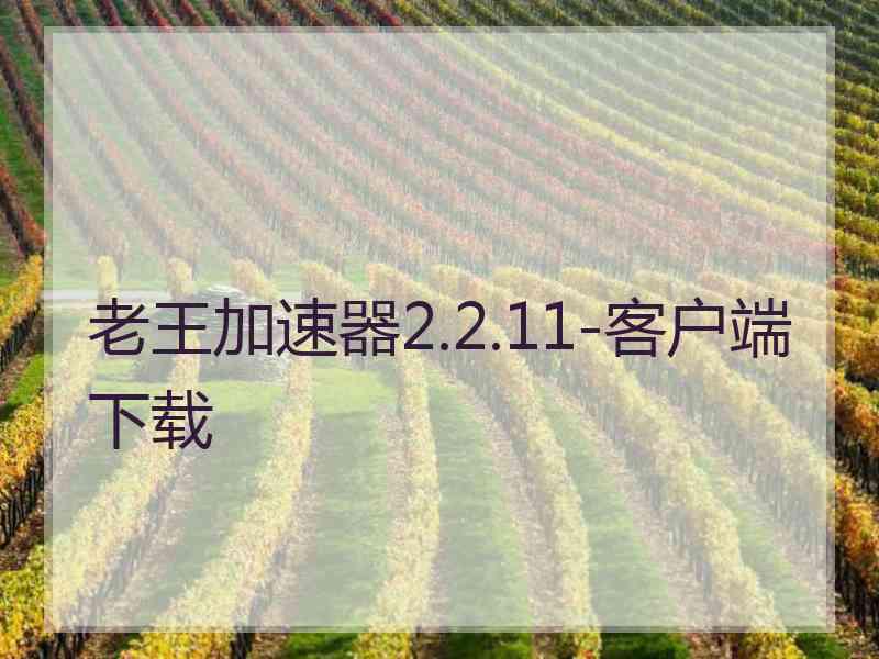 老王加速器2.2.11-客户端下载