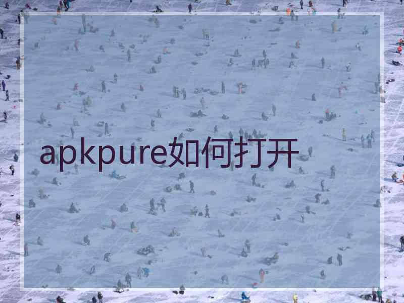 apkpure如何打开