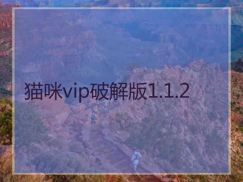 猫咪vip破解版1.1.2
