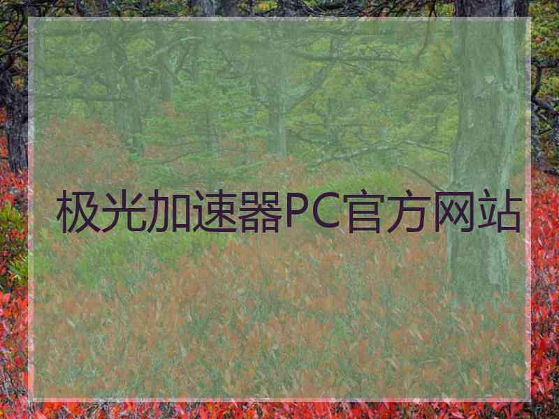 极光加速器PC官方网站