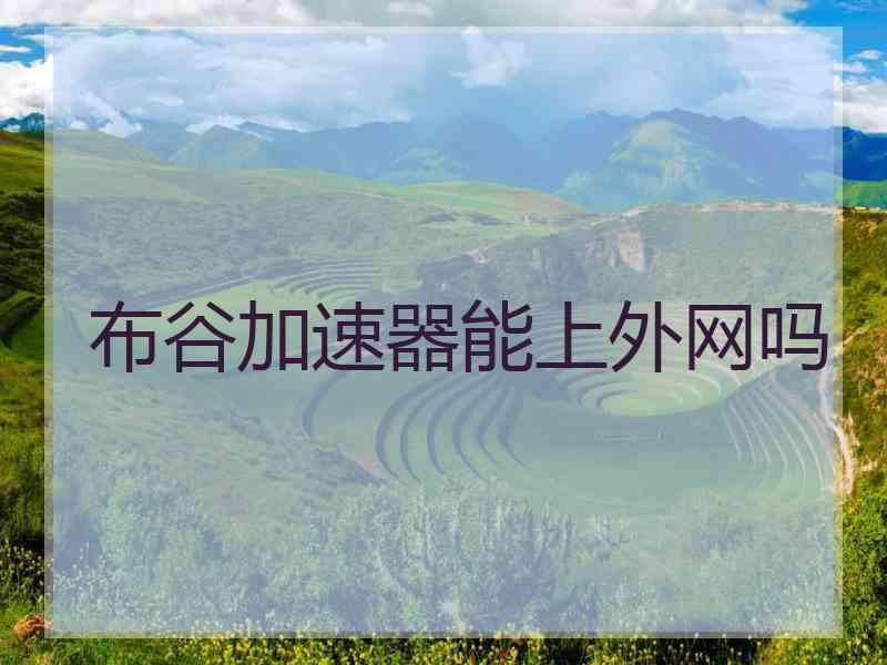 布谷加速器能上外网吗