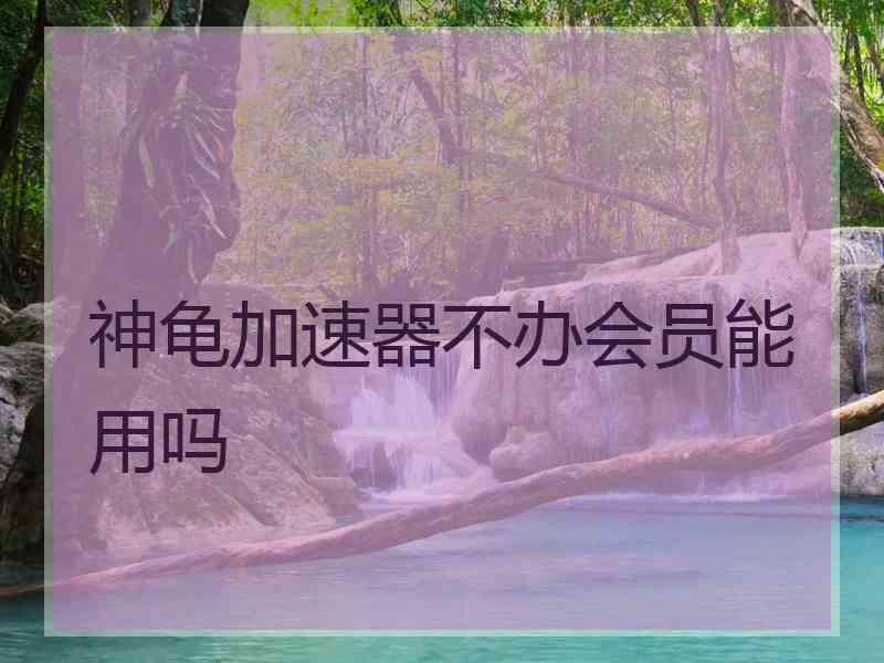 神龟加速器不办会员能用吗