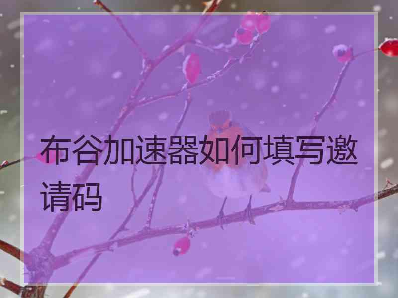 布谷加速器如何填写邀请码