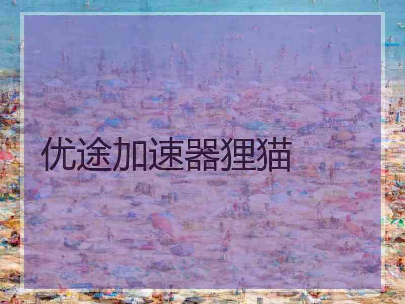优途加速器狸猫