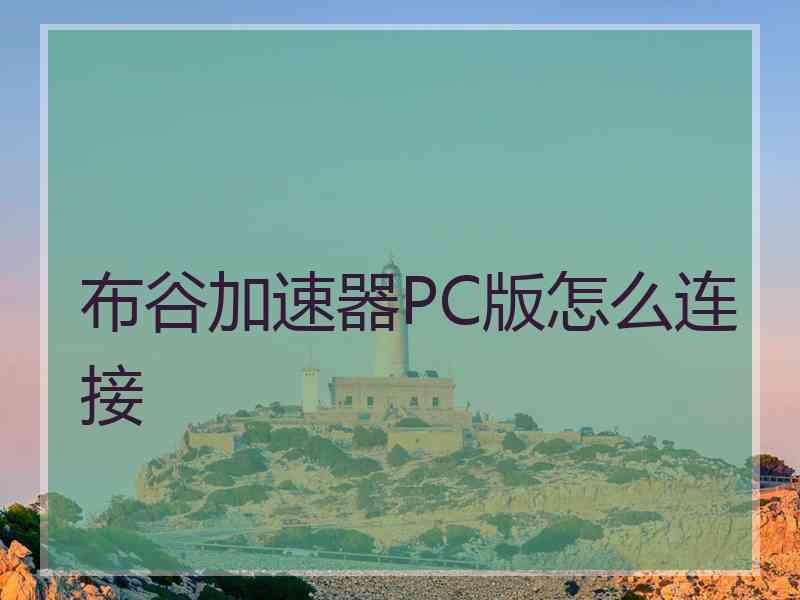 布谷加速器PC版怎么连接
