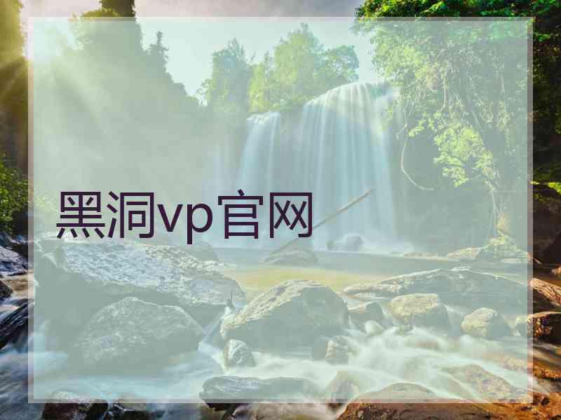 黑洞vp官网