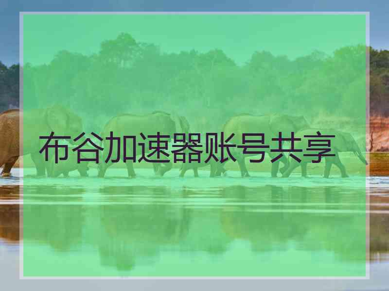 布谷加速器账号共享