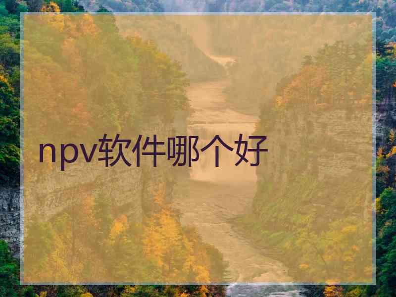 npv软件哪个好