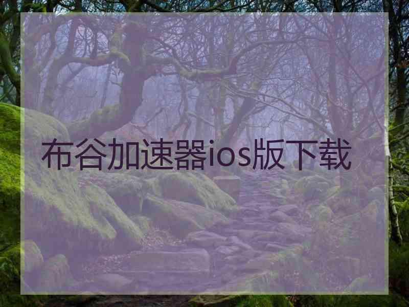 布谷加速器ios版下载
