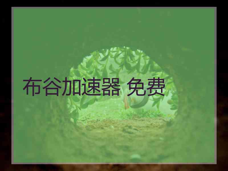 布谷加速器 免费