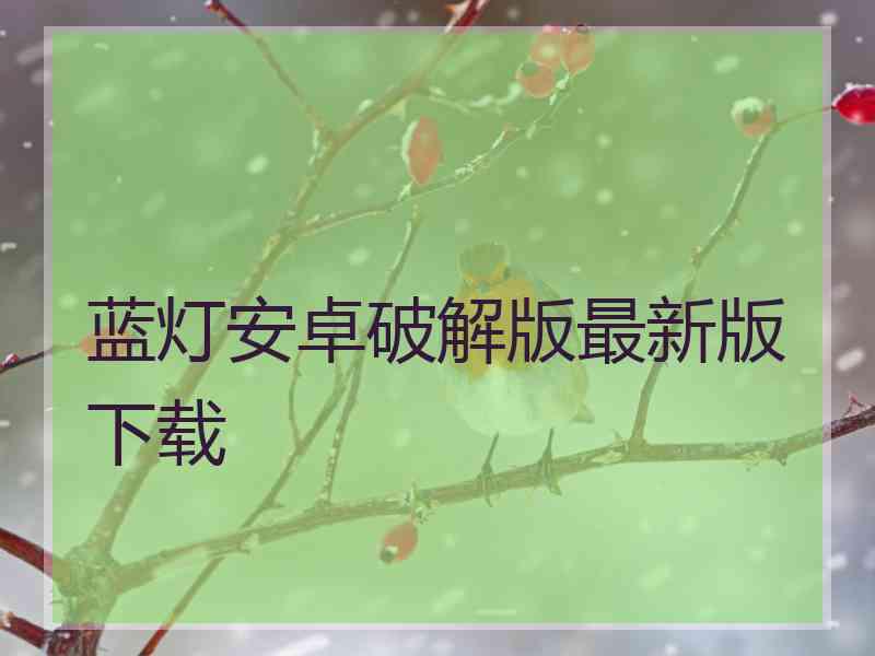 蓝灯安卓破解版最新版下载