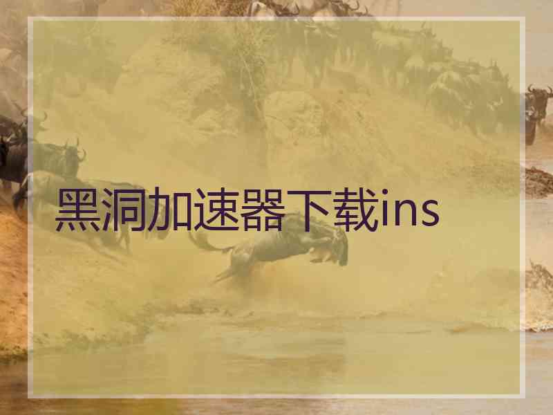 黑洞加速器下载ins
