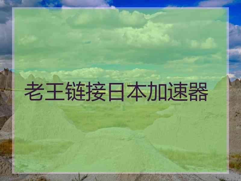 老王链接日本加速器
