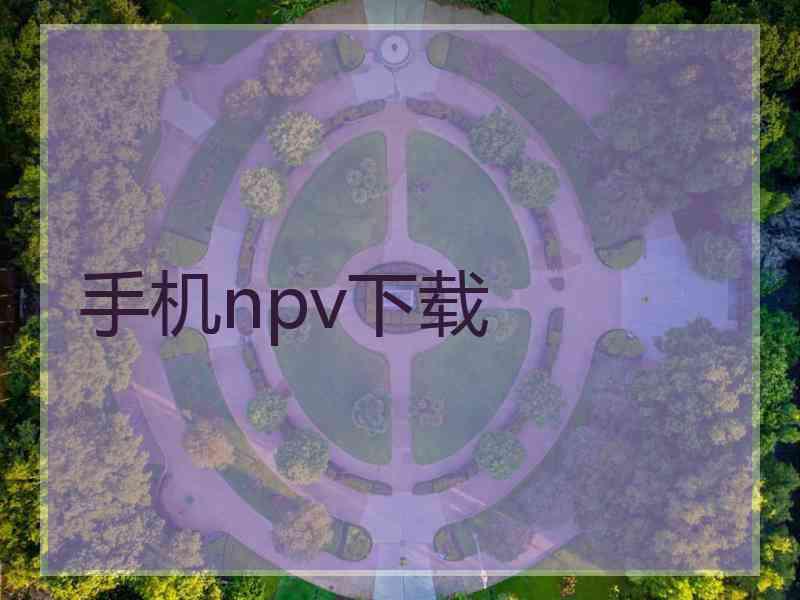 手机npv下载