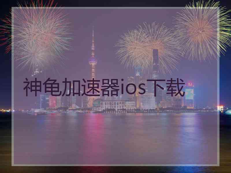 神龟加速器ios下载