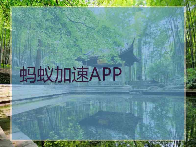蚂蚁加速APP