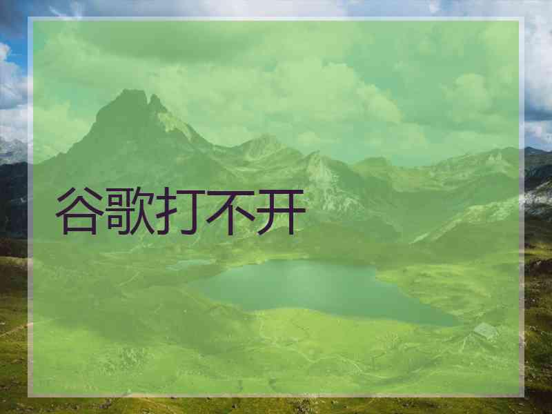 谷歌打不开