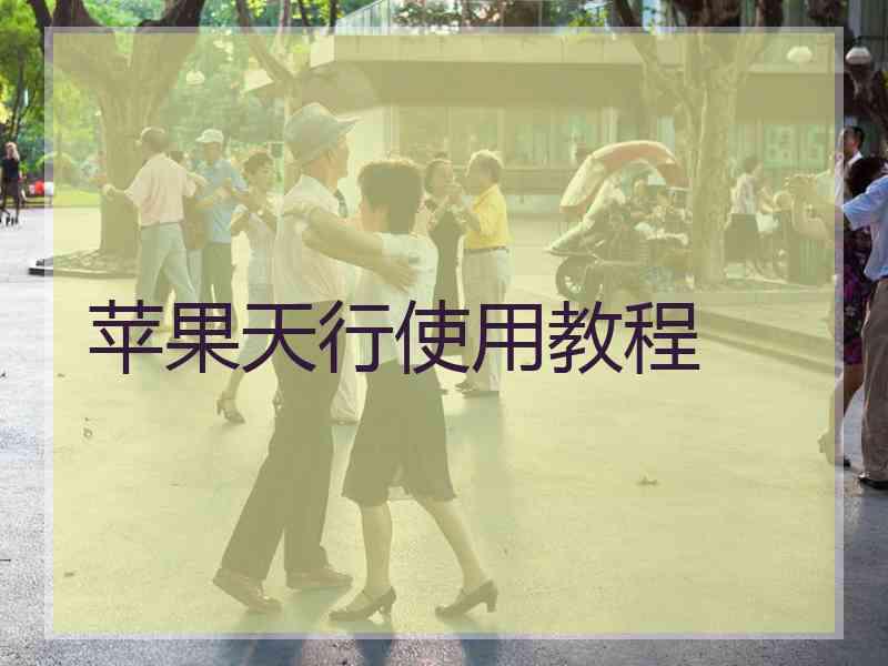 苹果天行使用教程