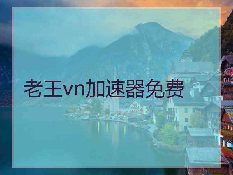 老王vn加速器免费