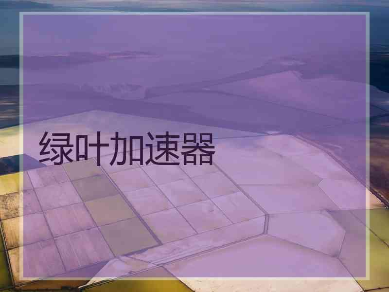 绿叶加速器