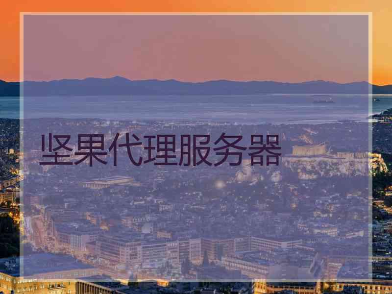 坚果代理服务器