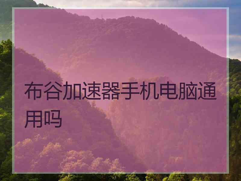 布谷加速器手机电脑通用吗