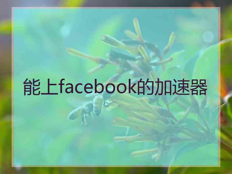 能上facebook的加速器